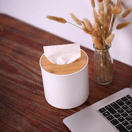 Wooden Cover Plastic Tissue Holder